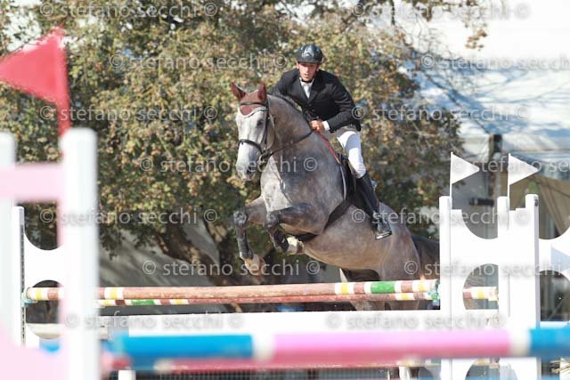 SALVINI_FELICETTO_GIO CAV 2011_SS3_6634.jpg